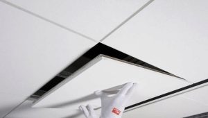  Plafond insonorisation dans l'appartement