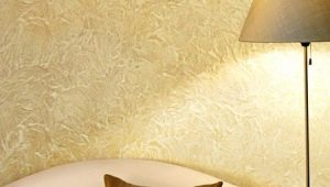  Silikonputz: Vor- und Nachteile