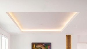  Plafonds lumineux à l'intérieur