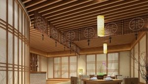  Options pour la finition des plafonds dans une maison privée