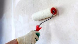  Types d'amorces blanches pour papier peint: fonctionnalités de l'application