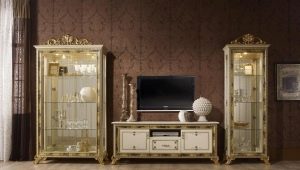  Vitrine pour les plats dans le salon: les règles de sélection et de placement