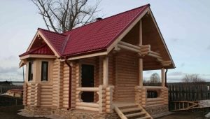 Bain de rondins: le pour et le contre des dessins