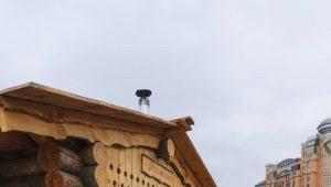  Bad auf Rädern: die Feinheiten der Herstellung von beweglichem Dampf