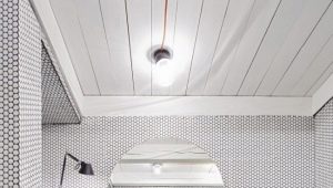  Weißes Mosaik: Vorteile und Merkmale des Designs