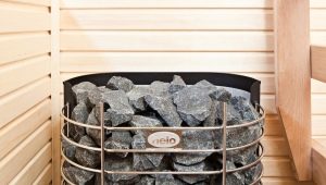  Elektrisches Bad: Wählen Sie die beste Option