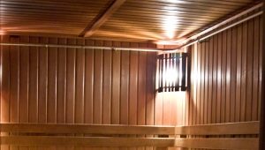  Finnish bath: features and ideas of arrangement