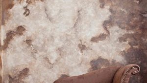  Murs de plâtre artistiques: types et méthodes d'application