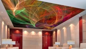  Spanndecken Wippung: Merkmale und Spezifikationen