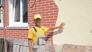  Caractéristiques du plâtre de façade