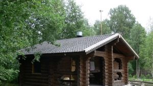  Features and options for projects of the baths from the log