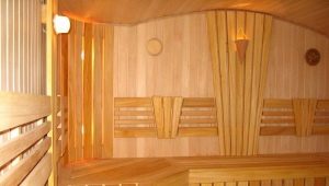  Caractéristiques de l'intérieur de la salle de bain à l'intérieur à l'aide de clins