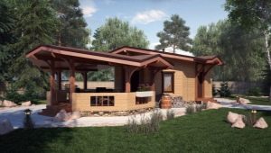  Features of the device and design baths