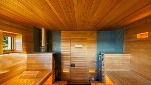  Finishing of a bath inside: arrangement of a sweating room, shower, restroom