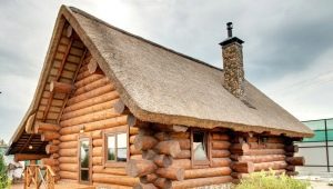  Disposition du bain: idées de design originales