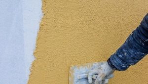  Subtilités de façade en plâtre