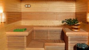  L'appareil du sauna dans une maison privée: caractéristiques et effets