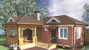  Bain de brique: avantages et inconvénients