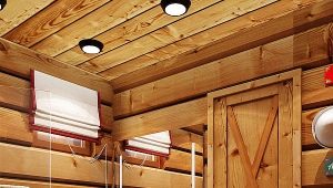  Chalet bath: beautiful design solutions