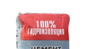  Ciment NC: fonctionnalités et application