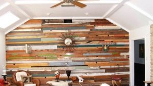  Malerei Futter im Inneren des Hauses in verschiedenen Farben: schöne Ideen im Innenraum