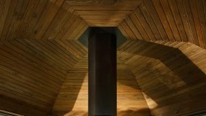  Une variété d'arbres pour donner avec un barbecue et un brasier