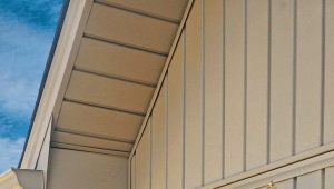  FineVer Siding: Materialprüfung