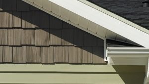  Vinyl siding: features and benefits