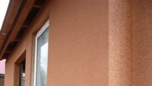  Liquid Plug: Merkmale und Umfang des Materials