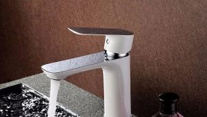  Robinets d'évier blancs: aperçu de la gamme et critères de sélection