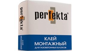  Colle pour blocs: types et caractéristiques