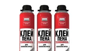  Mousse à colle TechnoNICOL pour polystyrène expansé: caractéristiques de choix et d'application