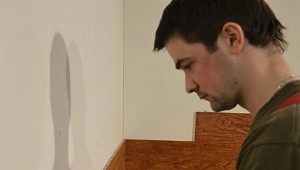  Regeln für die Wanddekoration mit MDF-Platten