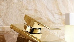  Mélangeurs d'or: critères de sélection et règles de soin