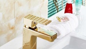  Mélangeurs de pommes de terre: caractéristiques distinctives