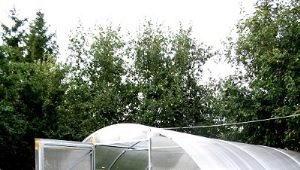  Rendement en serre: caractéristiques, avantages et dimensions