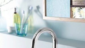  Les subtilités du choix des hauts mélangeurs pour l'évier