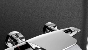  Robinets de bain tchèques: caractéristiques et avantages