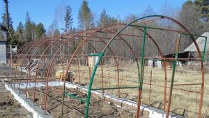  Le fondement de la serre: types de bases et instructions de fabrication