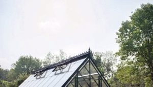  À quoi ressemblent les serres à l'anglaise?