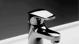  Mélangeurs Am Pm: aperçu du modèle et spécifications