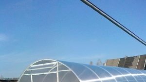  Greenhouse Nurse-Goodie: avantages et inconvénients