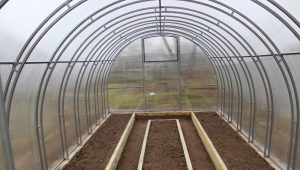  Serre du Kremlin: modèles et spécifications