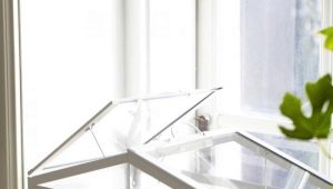  Wie mache ich ein Mini-Gewächshaus auf der Fensterbank?