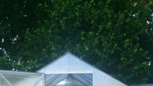  Quelle est la taille des serres en polycarbonate?