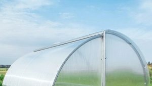  Greenhouse Breadbox: qu'est-ce que c'est, avantages et inconvénients