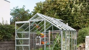  Comment faire une serre pour les plantes?