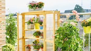  Mini-serres: options et fonctionnalités de l'appareil