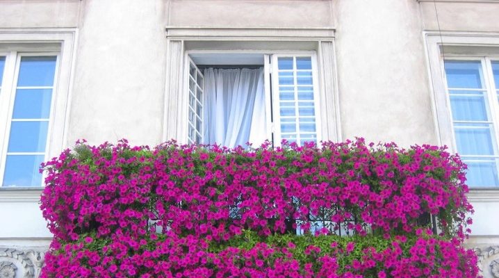  Fleurs pour le balcon