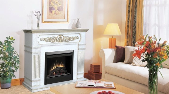  Foyer électrique avec portail